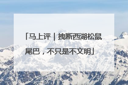 马上评｜拽断西湖松鼠尾巴，不只是不文明