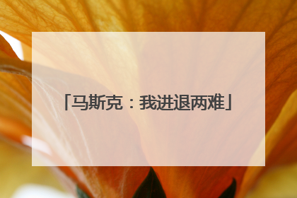 马斯克：我进退两难