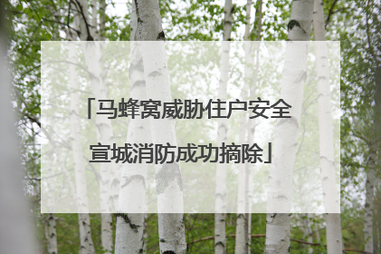 马蜂窝威胁住户安全 宣城消防成功摘除