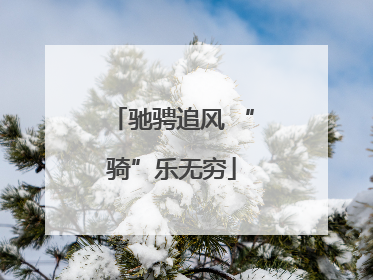 驰骋追风 “骑”乐无穷