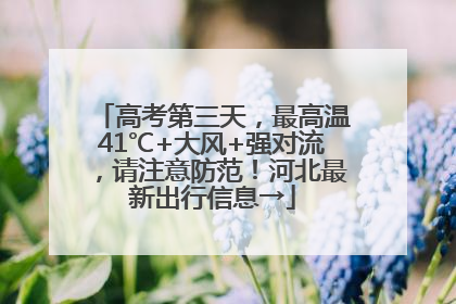 高考第三天，最高温41℃+大风+强对流，请注意防范！河北最新出行信息→