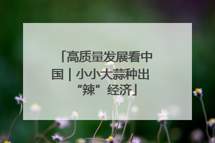 高质量发展看中国｜小小大蒜种出“辣”经济