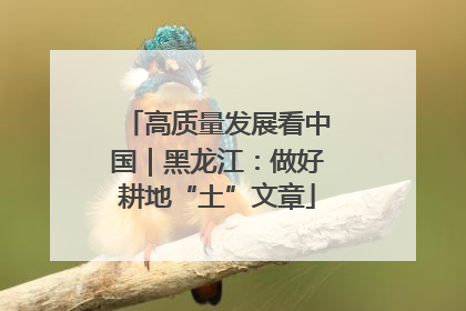 高质量发展看中国｜黑龙江：做好耕地“土”文章