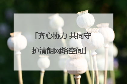 齐心协力 共同守护清朗网络空间