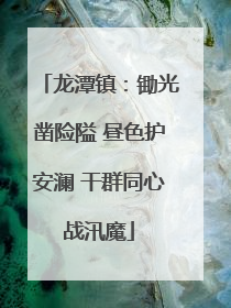 龙潭镇：锄光凿险隘 昼色护安澜 干群同心战汛魔