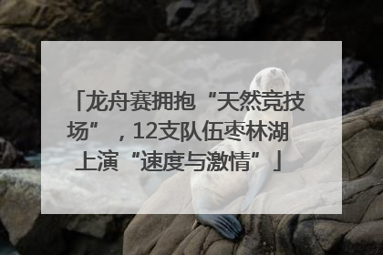 龙舟赛拥抱“天然竞技场”，12支队伍枣林湖上演“速度与激情”