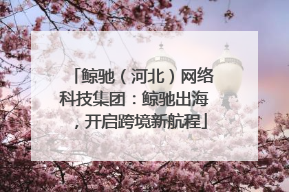 鲸驰（河北）网络科技集团：鲸驰出海，开启跨境新航程