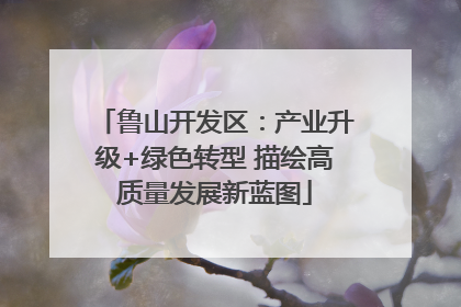 鲁山开发区：产业升级+绿色转型 描绘高质量发展新蓝图
