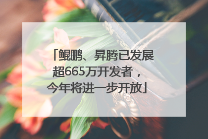 鲲鹏、昇腾已发展超665万开发者，今年将进一步开放