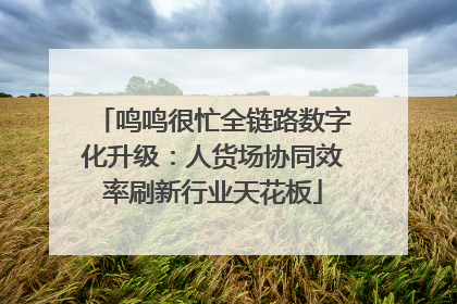鸣鸣很忙全链路数字化升级：人货场协同效率刷新行业天花板