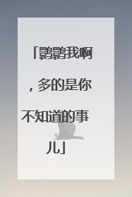鹮鹮我啊，多的是你不知道的事儿