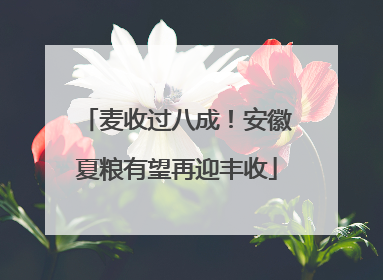 麦收过八成！安徽夏粮有望再迎丰收