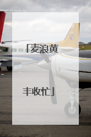 麦浪黄 丰收忙