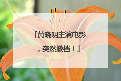 黄晓明主演电影，突然撤档！