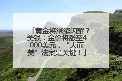 黄金将继续闪耀？美银：金价将涨至4000美元，“大而美”法案是关键！