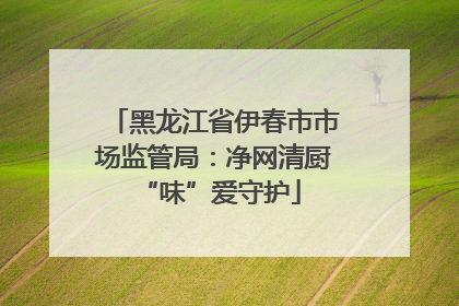 黑龙江省伊春市市场监管局：净网清厨 “味”爱守护