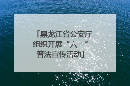 黑龙江省公安厅组织开展“六一”普法宣传活动