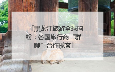 黑龙江旅游全球圈粉：各国旅行商“群聊”合作揽客