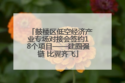 鼓楼区低空经济产业专场对接会签约18个项目——建圈强链 比翼齐飞