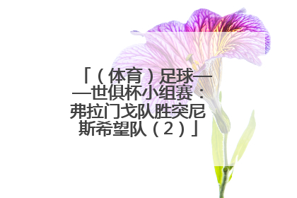 （体育）足球——世俱杯小组赛：弗拉门戈队胜突尼斯希望队（2）