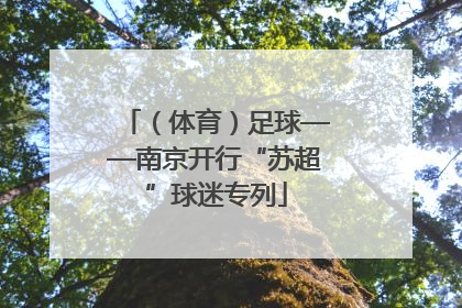 （体育）足球——南京开行“苏超”球迷专列