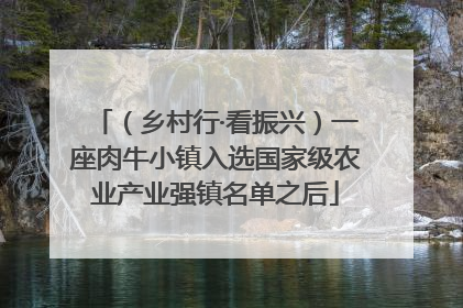 （乡村行·看振兴）一座肉牛小镇入选国家级农业产业强镇名单之后