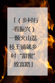 （乡村行·看振兴）一颗火山荔枝王铺就乡村“甜蜜”致富路