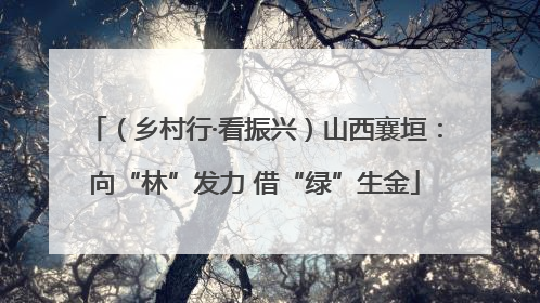 （乡村行·看振兴）山西襄垣：向“林”发力 借“绿”生金