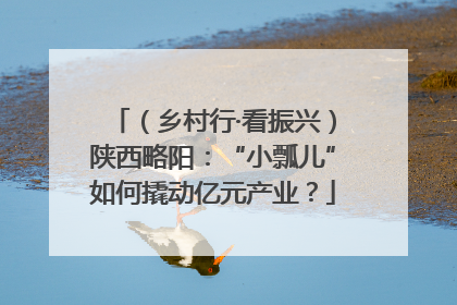 （乡村行·看振兴）陕西略阳：“小瓢儿”如何撬动亿元产业？