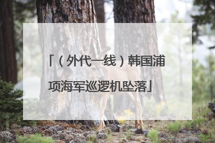 （外代一线）韩国浦项海军巡逻机坠落