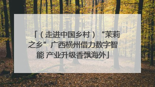 （走进中国乡村）“茉莉之乡”广西横州借力数字智能 产业升级香飘海外