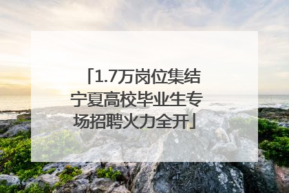 1.7万岗位集结 宁夏高校毕业生专场招聘火力全开