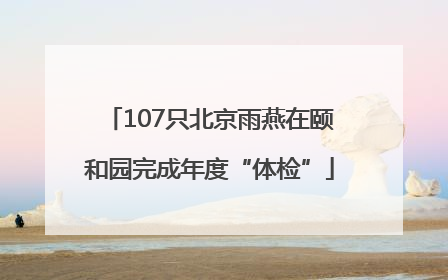 107只北京雨燕在颐和园完成年度“体检”