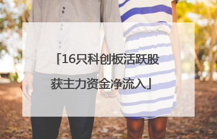16只科创板活跃股获主力资金净流入