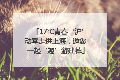 17℃青春‘沪’动季走进上海，邀您一起‘趣’游建德
