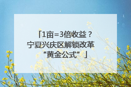 1亩=3倍收益？宁夏兴庆区解锁改革“黄金公式”
