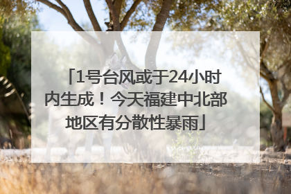1号台风或于24小时内生成！今天福建中北部地区有分散性暴雨