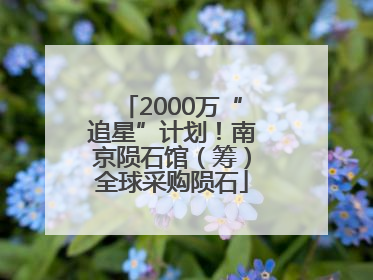 2000万“追星”计划！南京陨石馆（筹）全球采购陨石