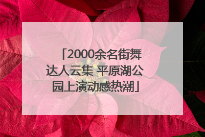 2000余名街舞达人云集 平原湖公园上演动感热潮