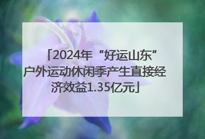 2024年“好运山东”户外运动休闲季产生直接经济效益1.35亿元