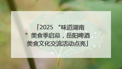 2025 “味道湖南”美食季启幕，岳阳啤酒美食文化交流活动点亮