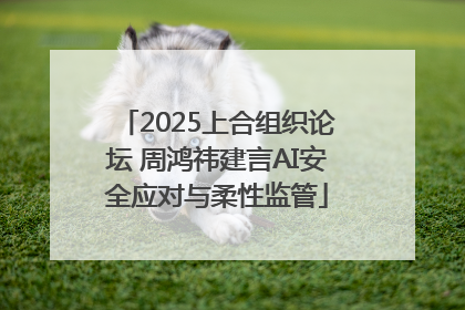 2025上合组织论坛 周鸿祎建言AI安全应对与柔性监管