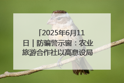 2025年6月11日｜防骗警示窗：农业旅游合作社以高息设局，集资380万