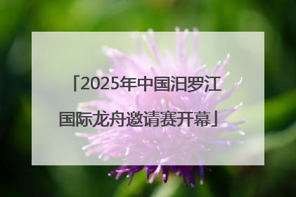 2025年中国汨罗江国际龙舟邀请赛开幕