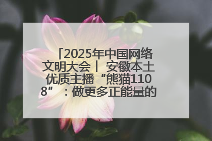 2025年中国网络文明大会丨 安徽本土优质主播“熊猫1108”：做更多正能量的事情 带给大家快乐
