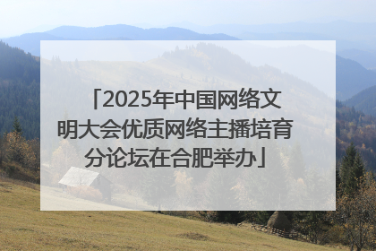 2025年中国网络文明大会优质网络主播培育分论坛在合肥举办