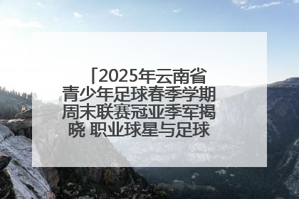 2025年云南省青少年足球春季学期周末联赛冠亚季军揭晓 职业球星与足球小将共享荣耀时刻