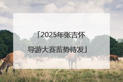 2025年张吉怀导游大赛蓄势待发