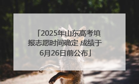 2025年山东高考填报志愿时间确定 成绩于6月26日前公布