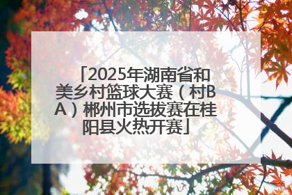 2025年湖南省和美乡村篮球大赛（村BA）郴州市选拔赛在桂阳县火热开赛
